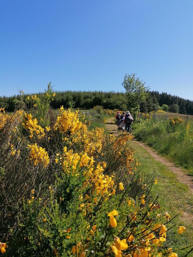 D'hotes Les Myriades D'or Homestay *